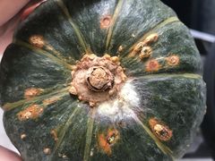 -座上客(0277天润城第五街区店)