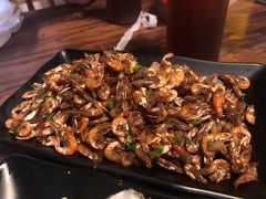 -土蚝·高压锅生蚝(百姓美食街店)