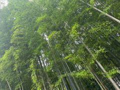 -苏州河梦清园环保主题公园