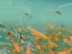 -灵栖洞天