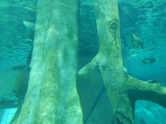 -福州罗源湾海洋世界旅游区