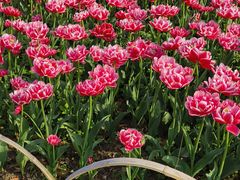 -玄武湖景区-情侣园游乐场