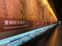 -大庆市博物馆