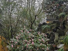-灵顺寺