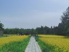 -北坞公园
