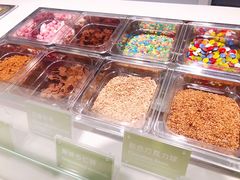 -Salud撒露欧洲冻酸奶(蓝色港湾店)