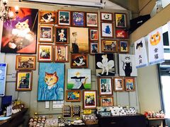 -猫咪博物馆(顶澳仔猫街店)