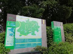 -火炉山森林公园