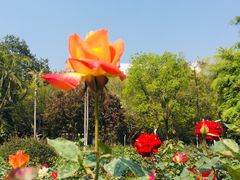 -人民公园(罗湖区)