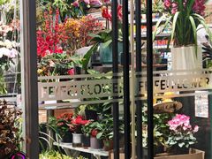 -FEI FEI FLOWER鲜花店·气球派对·宝宝宴布置(虹口德必运动Loft店)