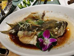 清蒸鳜鱼-扬浦大酒楼(平顶山路店)