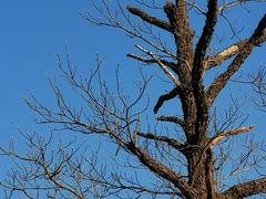 -敬亭山风景名胜区