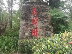 -名树园