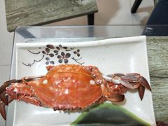 -晓伟海鲜家常菜