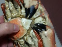 -金刚山烧烤(红旗大街店)