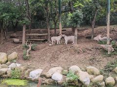 -常州淹城野生动物世界