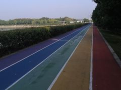 -贡湖湾湿地公园