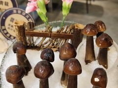 -喜聚薈·花膠雞海鮮火鍋(越秀店)