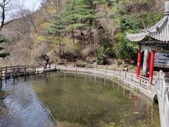 -王顺山国家森林公园