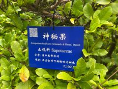 -中国科学院西双版纳热带植物园