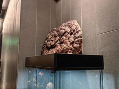 -唐河王记·南阳民间菜(国基路店)