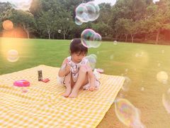 -昆山城市生态森林公园