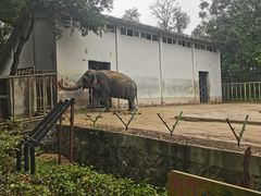 -合肥野生动物园