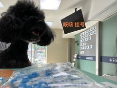 -申普宠物医院(总院)