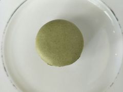 -BLACKSWAN黑天鹅(环球店)