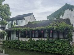 -鲁镇