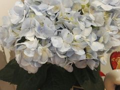 餐具摆设-香港龟正盅 手作糖水甜品龟苓膏(千灯湖环宇城店)