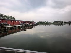-白洋淀景区