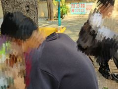 -王虎子大饼(甸柳新村五区店)