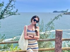 -广东惠东海龟国家级自然保护区