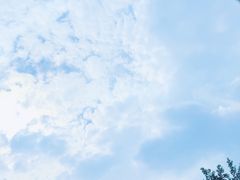 -四川省成都市彭州市白鹿镇