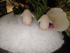 企鹅丸-湊湊火锅·茶憩(石家庄万象城店)