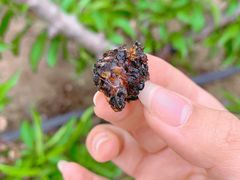 -凯德广场(武胜路店)