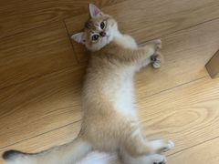 -联合动物医院(光谷诊疗中心)