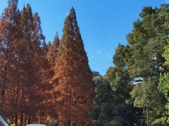 -宁波市保国寺古建筑博物馆