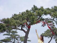 -沂蒙山旅游区云蒙景区(蒙山国家森林公园)