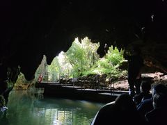 -怀托摩萤火虫洞