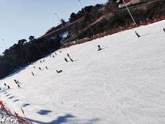 -蓟洲国际滑雪场