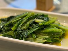 -陈麻婆豆腐(旗舰店)