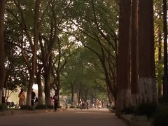-苏州大学(天赐庄校区)