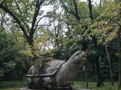 -灵谷景区
