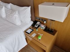 -徐州博顿温德姆酒店(高铁东站店)