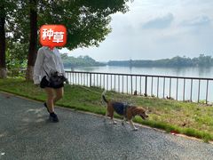 -三岔湖景区