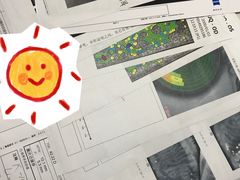 -上海大学附属上海和平眼科医院