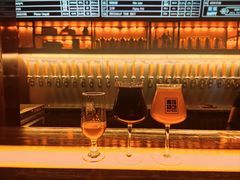 -麦落精酿啤酒餐吧(先农大院店)