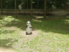 -南京金牛湖风景区